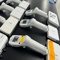 Eppendorf Xplorer Multichannel Pipettes - Quantity 8 image 1